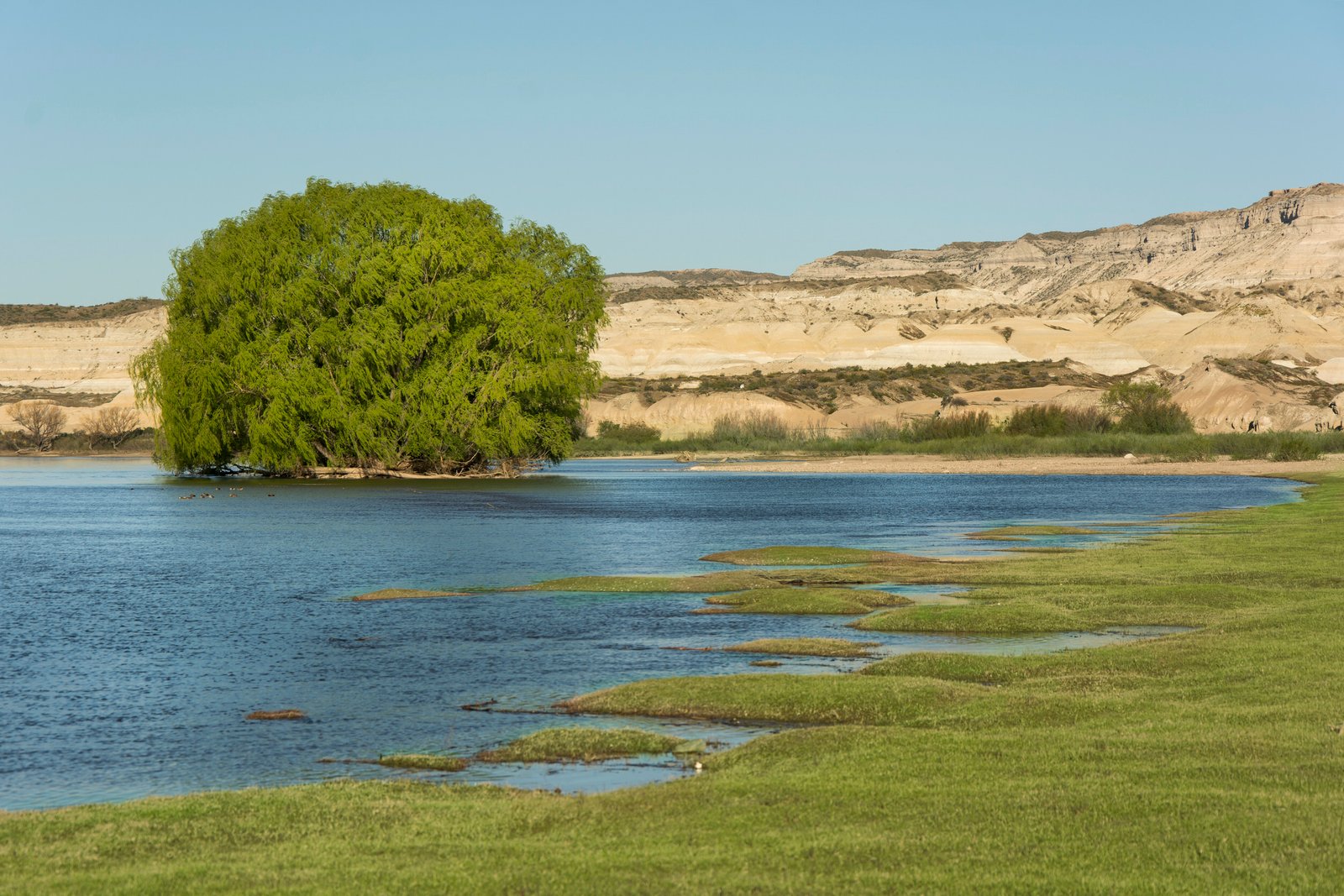 WWW.PATAGONIAENIMAGENES.COM.AR